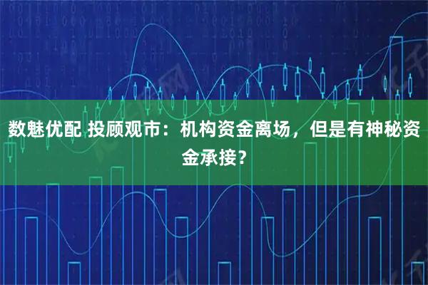 数魅优配 投顾观市：机构资金离场，但是有神秘资金承接？